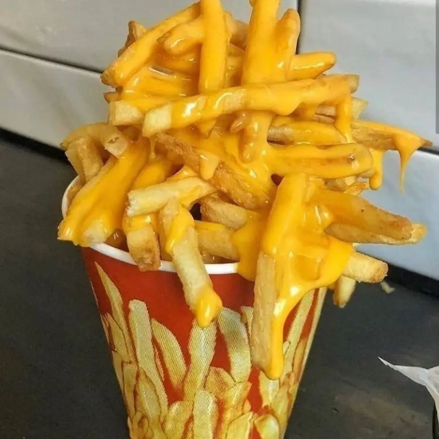 french_fries_cheese.webp